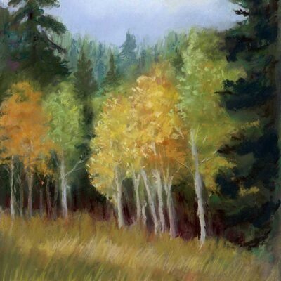 Cedar Mountain #3 - Pastel by Debra Kay Carter