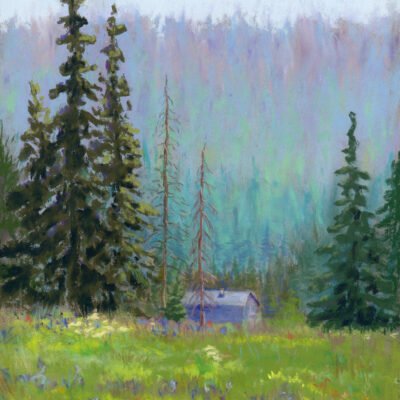 Spring Colors in Cedar Breaks National Monument - SOLD -Pastel by Debra Kay Carter