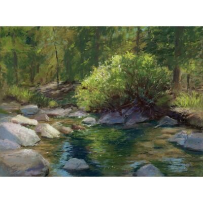 Respite - Pastel by Debra Kay Carter