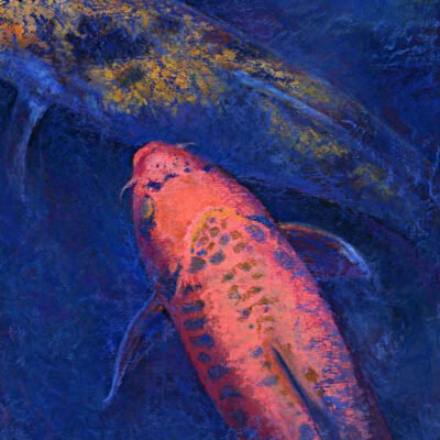Koi I - Pastel by Donald Alan Carter