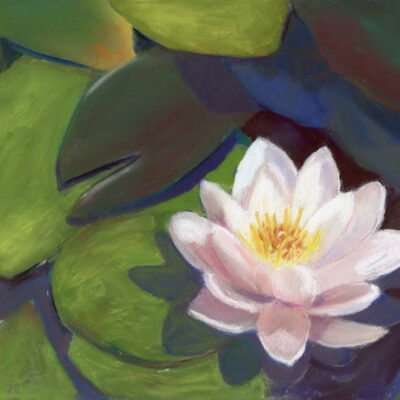 Water Lily - Pastel by Debra K. Carter