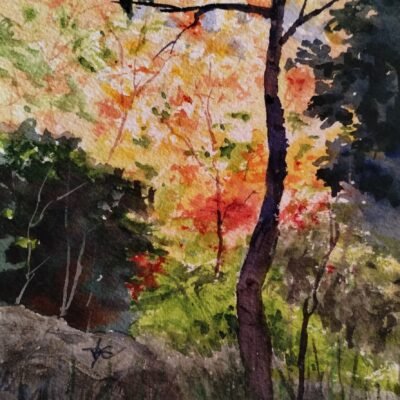 Cedar Highland Autumn